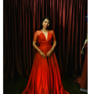 Deep V Neckline Sexy Red Gown (Designer collection) | Clothing & Accessories | RentSmart Asia | Renting Is The New Buying