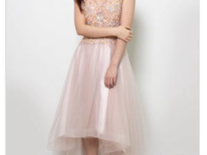 Fairy Felicity